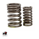 فنر سوپاپ(کوچک و بزرگ) لیون - تصویر 3