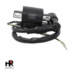 کوئل هوندا تک فیش لیون - تصویر 2